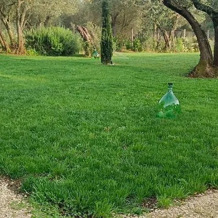 Apartament La Rondine Vetralla